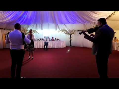 Formația Krystall Best și Violeta Constantin  - live nuntă 2019 Nuntă Pitești București 0744904338