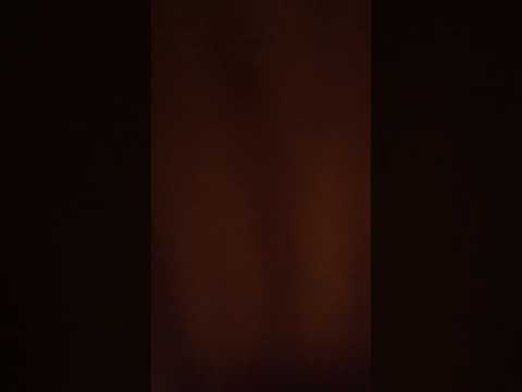 The aristocats part 7