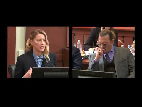 My dog stepped on a Bee! Original Video.