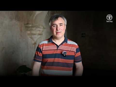 Rodrigo Sagardia, Programa de Monitoreo del Ecosistema Forestal (Chile)