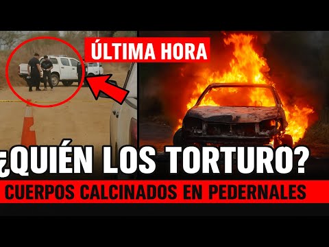ÚLTIMA HORA: Hallan 6 cuerpos en Pedernales junto a vehículo incinerado