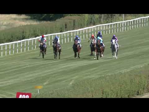 2022.05.22. 01. futam - GEMINI HENDIKEP (III.o.)