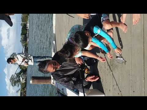 Holiday in Brisbane July.2019