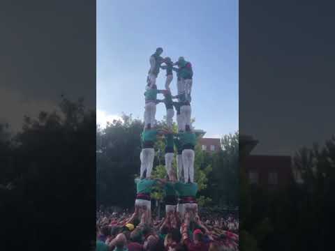 video-cover