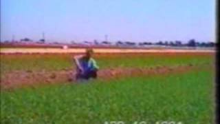 preview picture of video 'Hemp Farming Imperial County, California Seed Food and Fiber 2012'