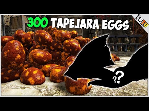 300 Tapejara EGGS! MASS COLOR MUTATIONS! Ark Survival Evolved Mutation Zoo S2E3