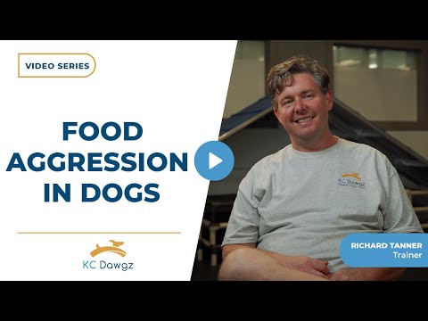 How to Stop Food Aggression in Dogs | KC Dawgz