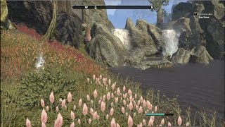 Elder Scrolls Online Farming Alchemy Reagents & Solvents Guide