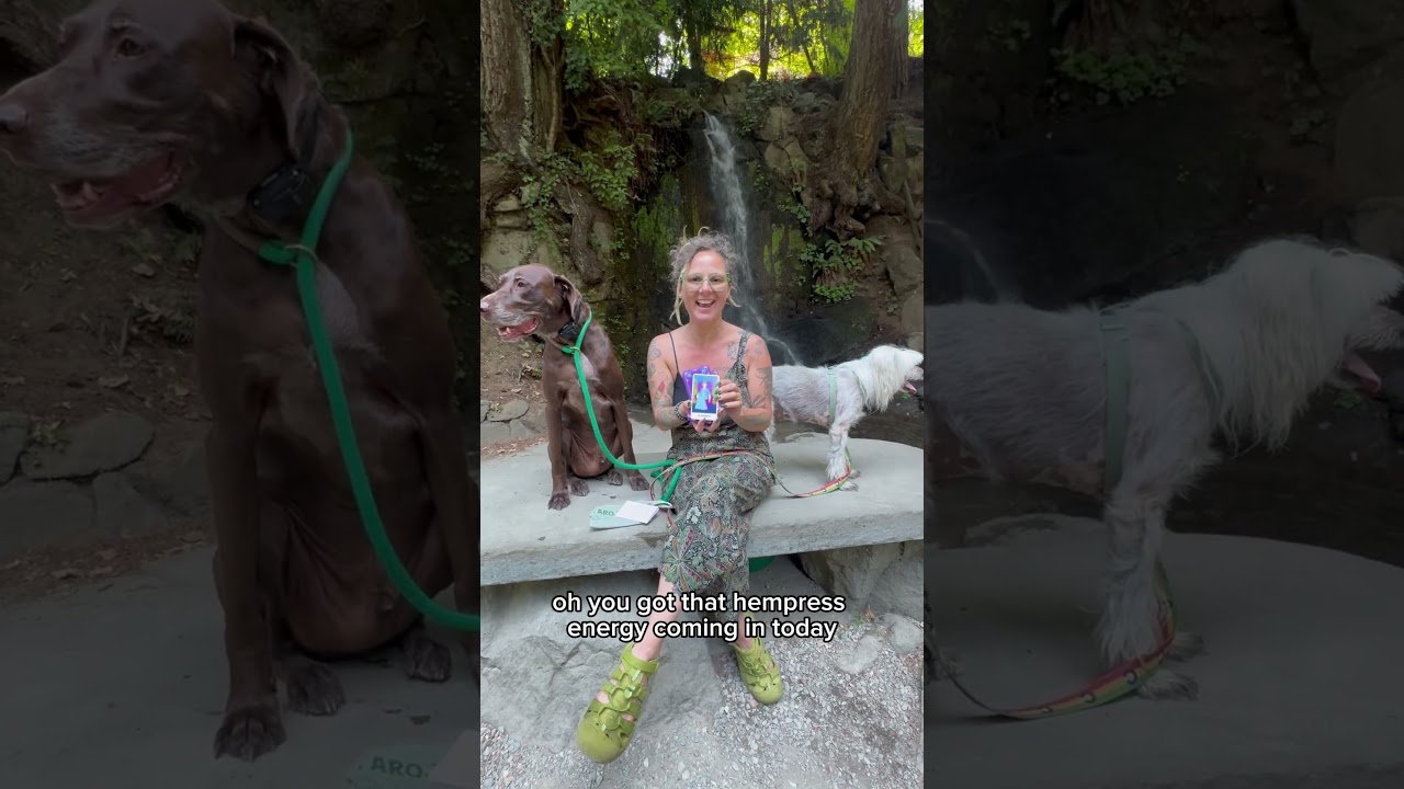 Promotional video thumbnail 1 for StarCanna