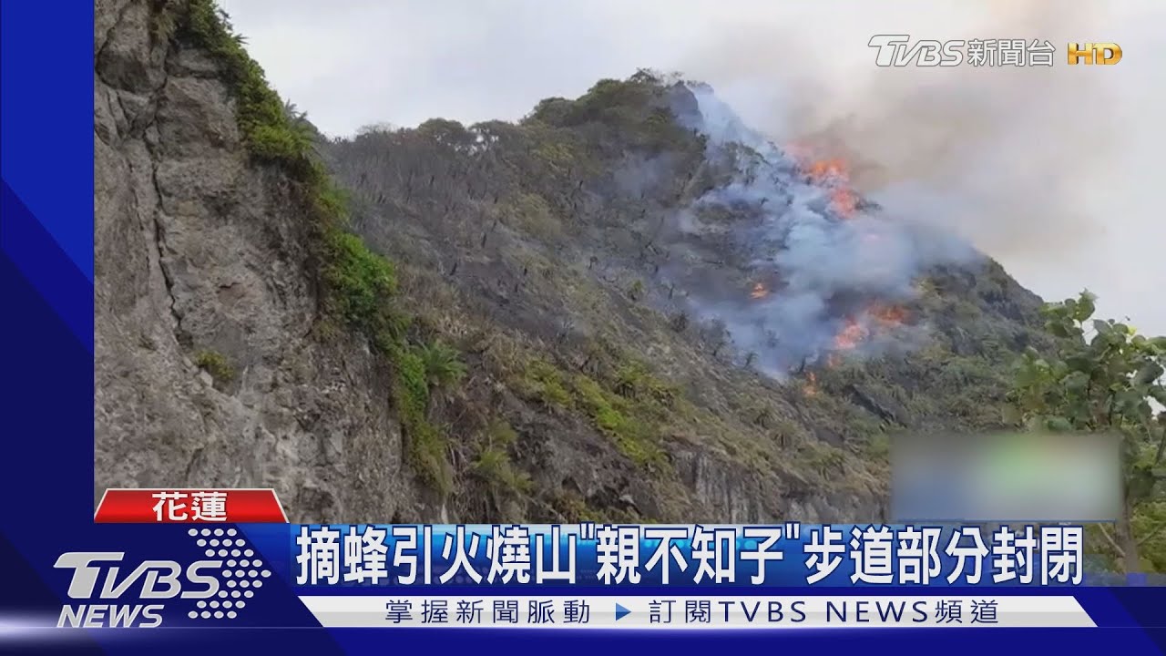 摘蜂引火燒山 「親不知子」步道部分封閉