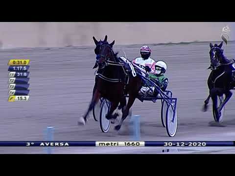 Aversa trotto 30 Dicembre 2020 - 3° Corsa