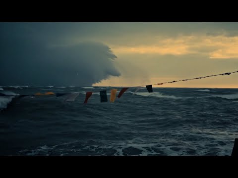 Dustin Tebbutt - Steady Arms (Official Video)