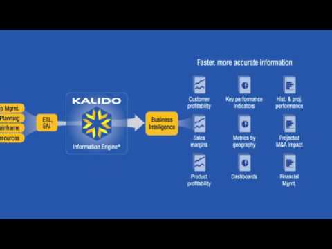 Kalido Information Engine: What's Behind Your BI?