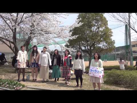 心理学科 神戸親和女子大学　桜とコーラス部