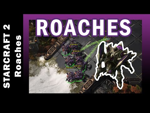 003 - STARCRAFT 2 Coouge Oxide LE - Kerrigan (Zerg) vs Ale (Terran)