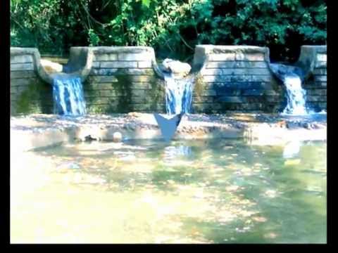 VELLEZERIT ZENA - CAN SELITA (Se Jam Semure Moj Nane) [HD]