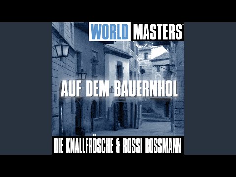 Ein Wal Hatte Die Qual