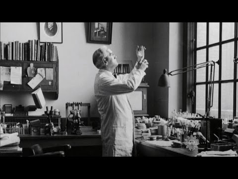 Almanac: The discovery of penicillin