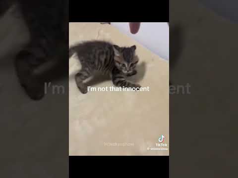 25 de septiembre de 2025