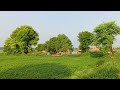 Desi Gaw Ka Blog