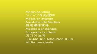 MAN TGA 26.530 6x4 PALFINGER PK 50002 Crane Winch truck tractor | Image 4 - Autoline