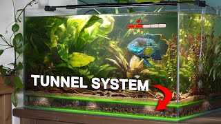 My Angry Fish Gets His Own Ecosystem (150 day story)