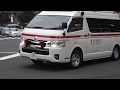 Japanese Ambulance Toyota Himedic