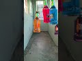 Swing Bottle Smash