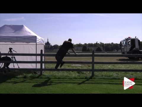 Chantilly 2015 - Working For A Great Show