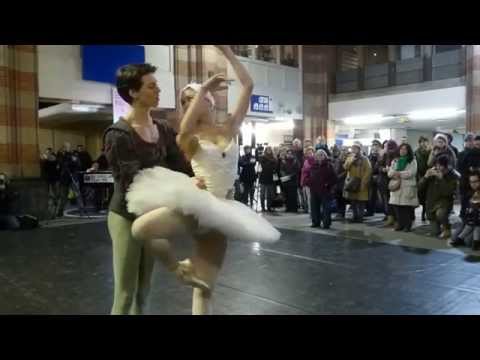 Junior Company part 2