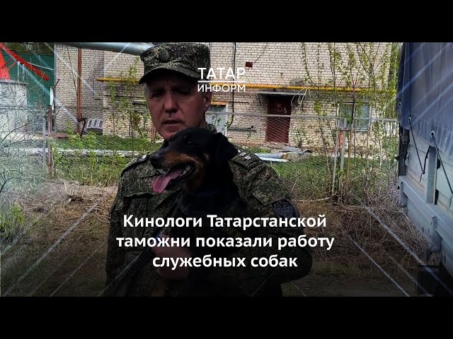 Кинологи Татарстанской таможни показали работу служебных собак