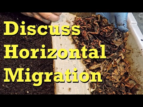 Horizontal migration management in worm bin - vermicomposting