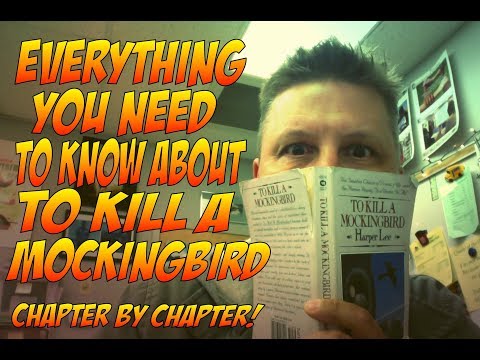 To Kill a Mockingbird part 1 overview summary & Analysis
