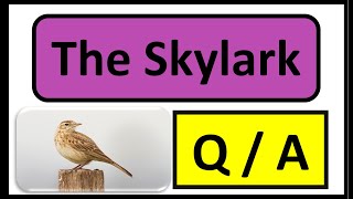 Skylark chapter Question answers New Oxford Modern English Book 5