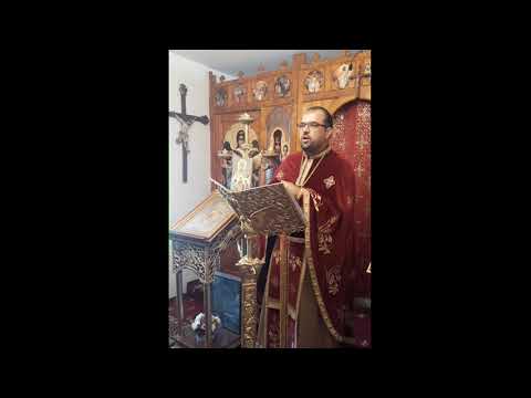 PREOT  EMILIAN    BOLOAGĂ  -  '' PUTEM  ÎNFLORI  DOAR  ÎN  FAȚA  OCHILOR  LUI  DUMNEZEU ''