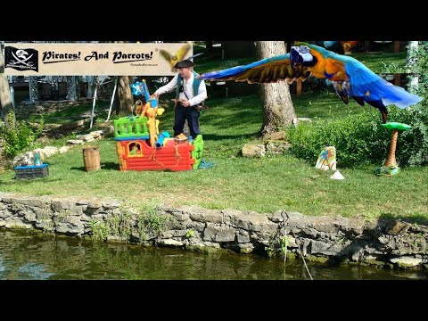 Promotional video thumbnail 1 for Pirates And Parrots