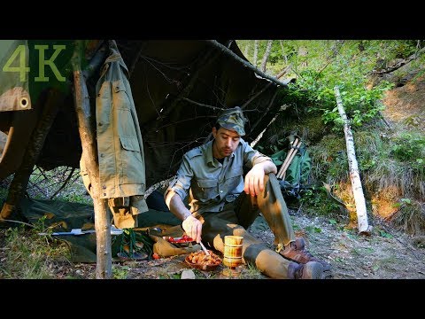 Ep3 Solo OUTDOOR Camp FOREST COOKING,DINNER IN THE WILD #THEGREENBOY