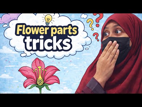 Flower|unique style|easy technique