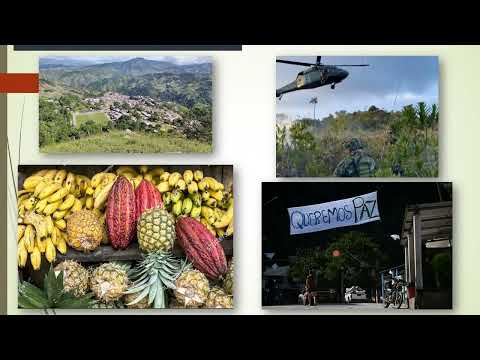 Eln en Teorama: El rastro de sangre, droga y el falso discurso de paz que desgarra al Catatumbo