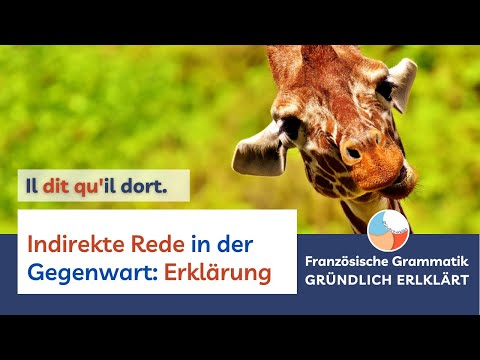Indirekte Rede Französisch in der Gegenwart Erklärung [GRÜNDLICH ERKLÄRT]
