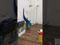 This has got to be the funniest video I’ve ever taken of Shelby! The over exaggerated tiptoeing 😂 - Shelby The Macaw This has got to be the funniest video I’ve ever taken of Shelby! The over exaggerated tiptoeing 😂
