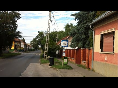 Szeged 24-es járat; Petőfitelep, Fő tér - Holt-Tisza