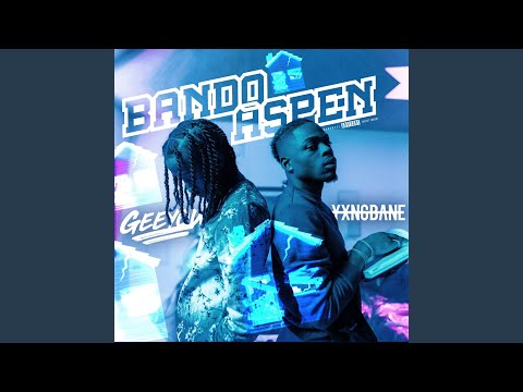 Bando Aspen