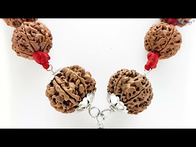 Kantha Mala For Dosh Nivaran to get Rid of Kala Sarpa Yoga video