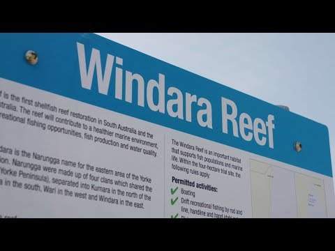 Windara Reef