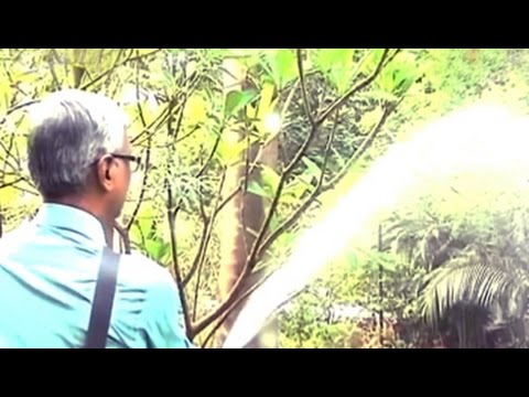 download lagu mp3 mp4 Rainwater Harvesting Project In Mumbai, download lagu Rainwater Harvesting Project In Mumbai gratis, unduh video klip Rainwater Harvesting Project In Mumbai