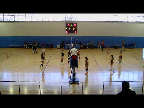 Serie D -  Vero Volley PG Vs  A.S.D. San Massimiliano Kolbe