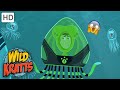 WILD KRATTS Are They ALIENS Amazing Creatures