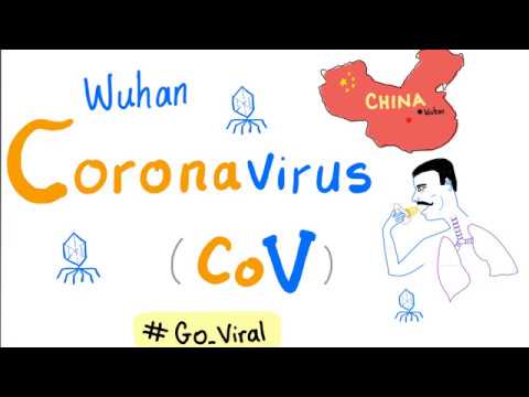 Novel Coronavirus (2019 nCoV ? Outbreak ?) [Part 1] COVID-19