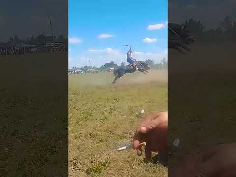 47° fiesta de la tradición buena esperanza San Luis